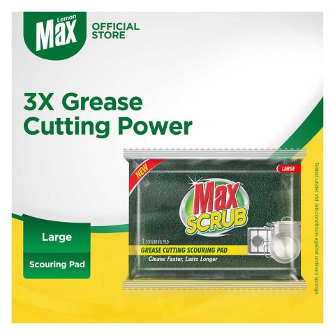 Max Scrub Scouring Pad, Large, 1 Count