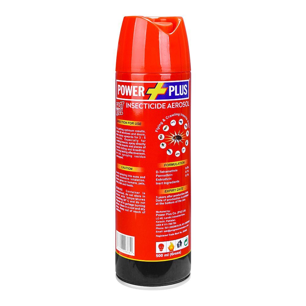 Purchase Power Plus Fast Kill Insecticide Aerosol, 500ml Online at ...