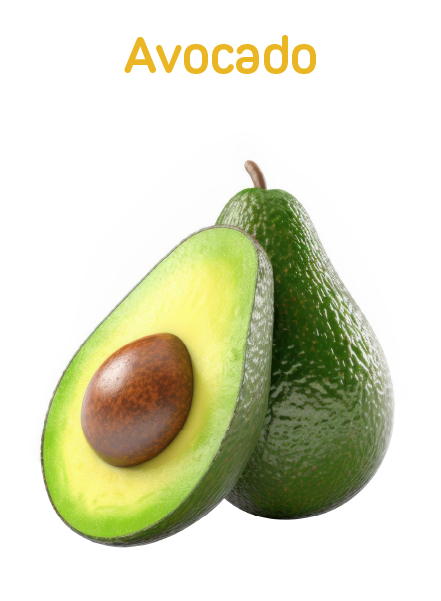 Avocado