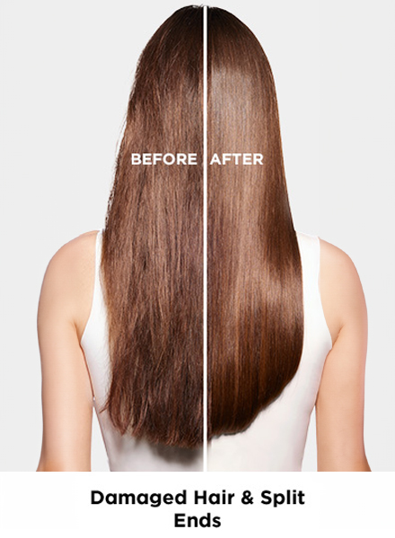 loreal professionnel absolut repair